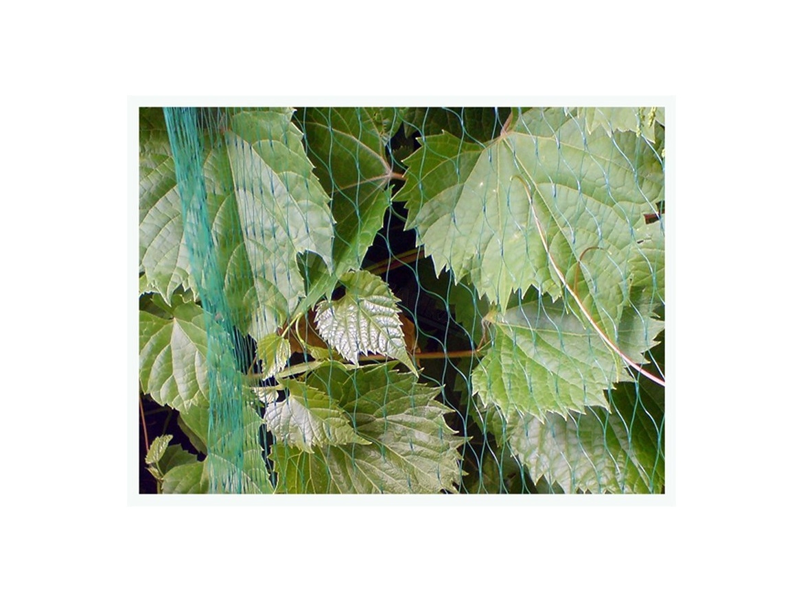 Bradas Ochranná síť proti ptákům - BIRD NET 7g/m2 - 8x8m