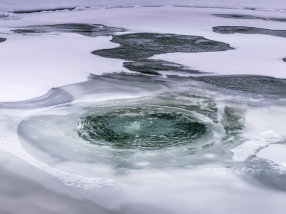 Kompletný sprievodca zazimovaním záhrady