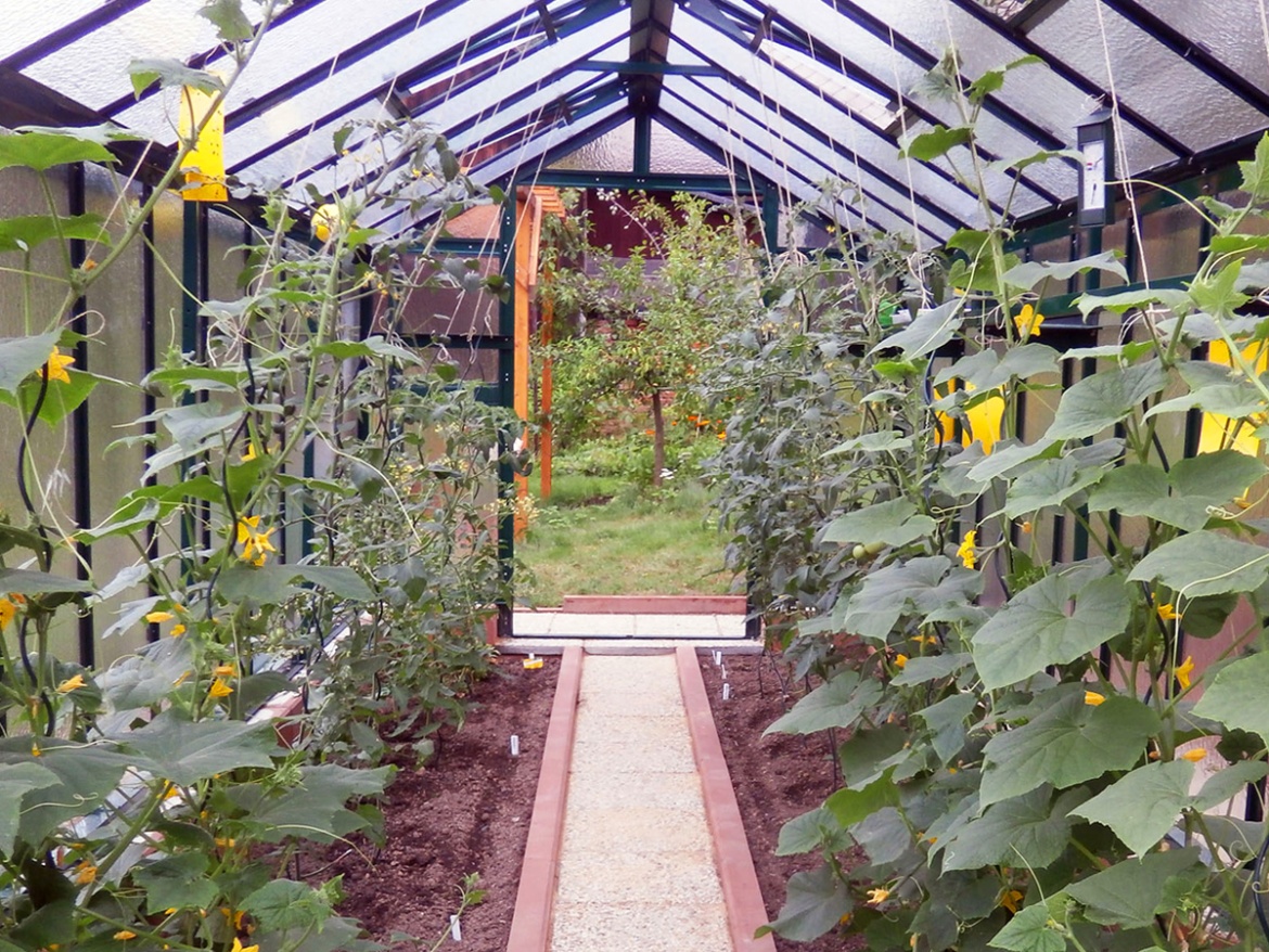 Skleník Limes Variant