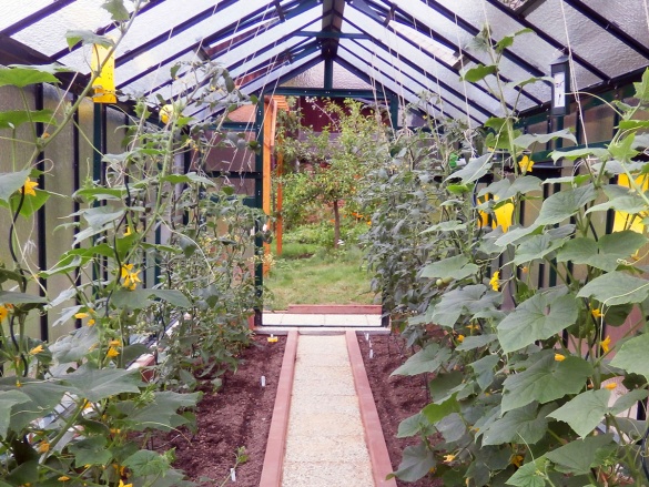 Skleník Limes Variant