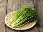 Mit kell termeszteni az üvegházban ősszel