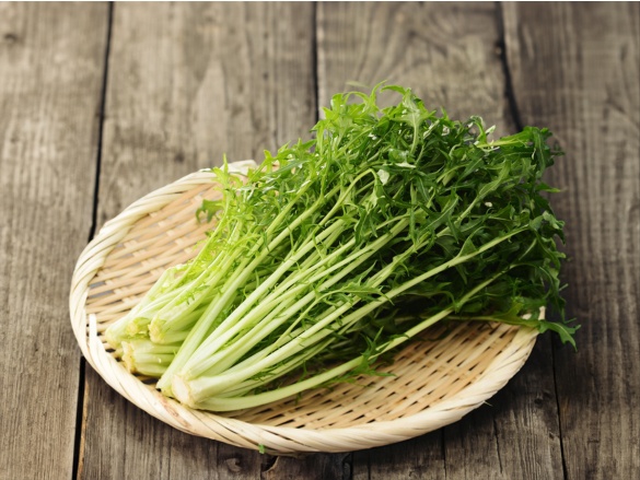 Mit kell termeszteni az üvegházban ősszel