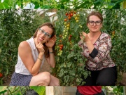 Porozumějte svým rostlinám