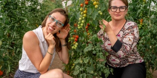 Porozumějte svým rostlinám