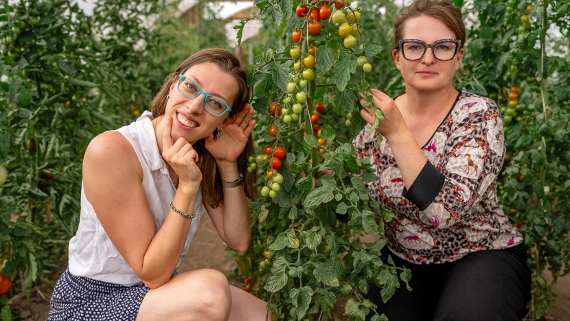 Porozumějte svým rostlinám