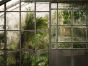 Aki nem teker, nem arat