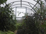 Záhradný skleník z polykarbonátu Gutta Gardentec Classic