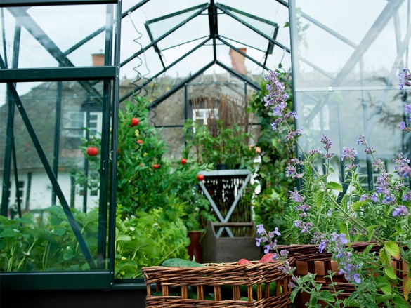 Üvegház Halls Popular