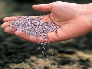 Sbohem škůdci aneb dezinfekce skleníku