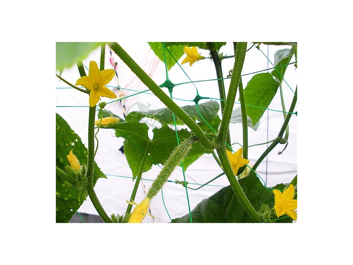 Bradas Síť pro pnoucí rostliny  Plant Net 1,7x500m