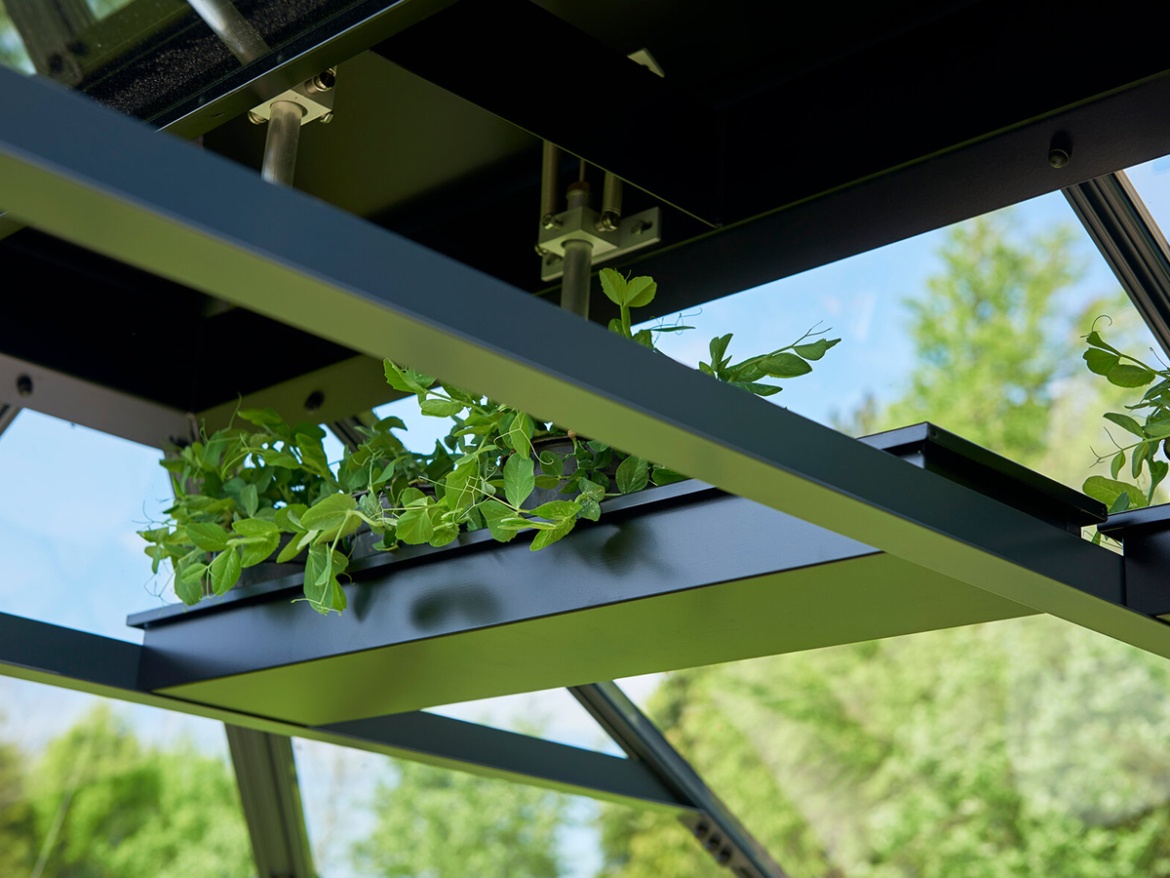 Juliana Horní police