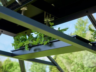 Üveg –  Juliana Horní police