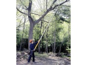 Teleskopická pila Silky Hayate 7700-6.5