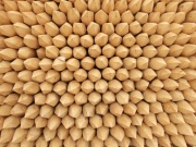 Vyväzovací Fixtree Scobax Vyvazovací kůl Fixtree