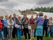 Autonóm üvegházunk egy hortibotanikus napon