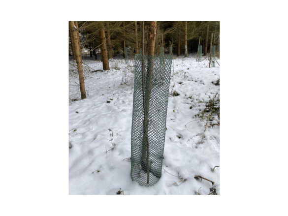 Covernit Plastové pletivo proti okusu stromků