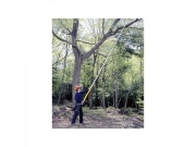 Teleskopická pila Silky Hayate 7700-6.5