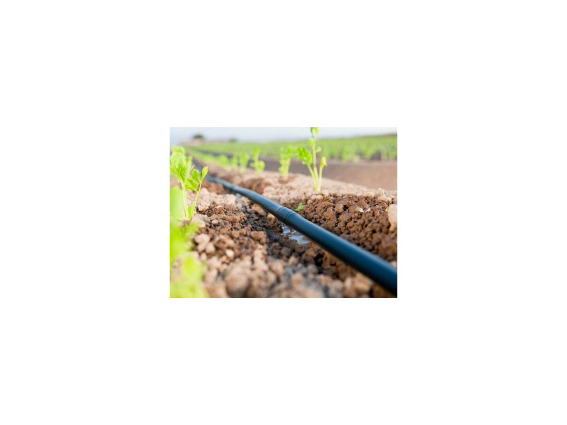 Covernit Kapkové zavlažování pro skleníky Drop