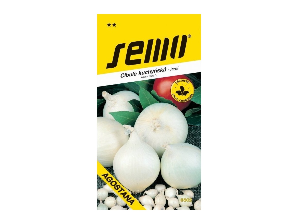 Semo Cibule jarní - Agostana bílá 1g