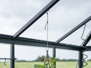 Oranžéria Juliana Grand Oase On-Wall