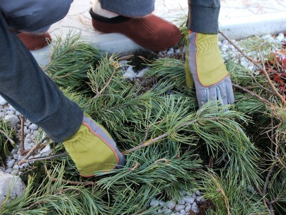 Kompletný sprievodca zazimovaním záhrady