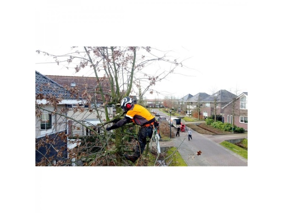 Pila se zahnutou pevnou čepelí Silky Zubat Ultimate 330-7,5-6,5