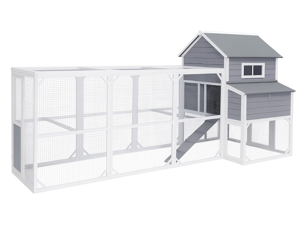 Tyúkól Scobax Harper