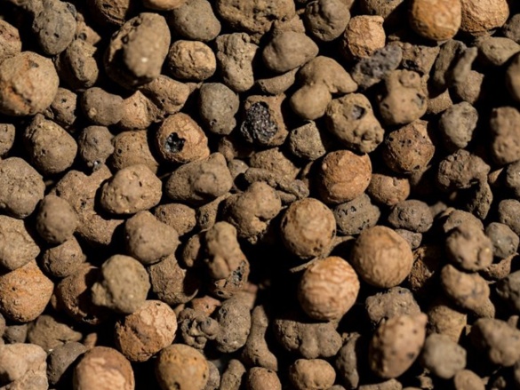 Nezaujatě o izolačních materiálech