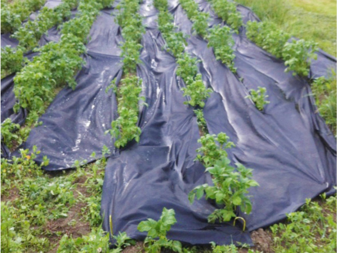 Zahradní textilie Gutta Agro