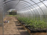 Polikarbonát üvegház Scobax Agroman