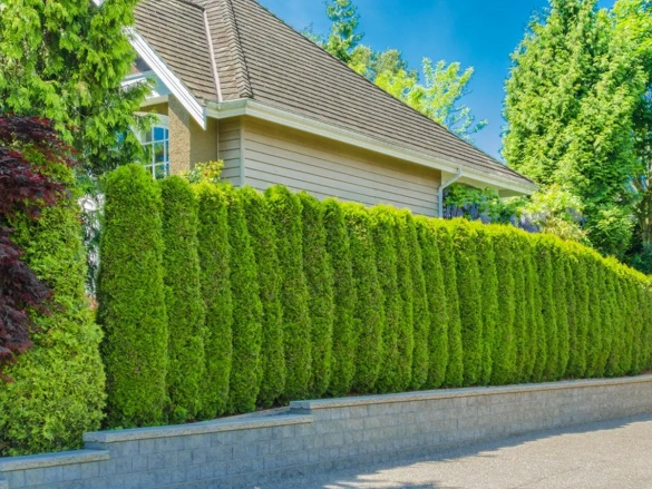Hogyan válasszunk megfelelő kerítést - típusok és előnyeik és hátrányaik