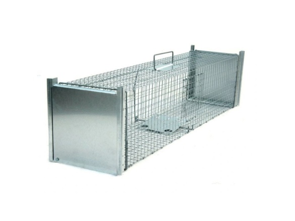 Scobax Past na kuny, kočky, potkany, krysy, lasičky a tchoře  TRAP ZL120x26x26