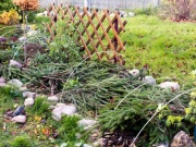 Kompletní průvodce zazimováním zahrady