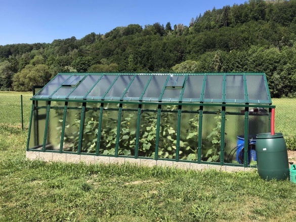 Skleník Limes Primus