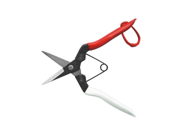 Zastřihovací nůžky s dlouhými čepelemi 304