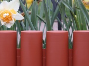 Záhradná palisáda Scobax Florange