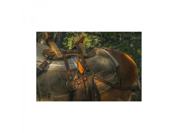 Skládací pila Silky Pocketboy Curve 170-8