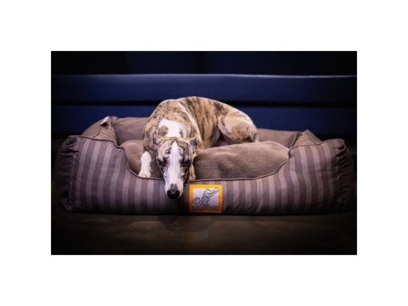 Scobax CROCODOG ORTHOPEDIC PET BED