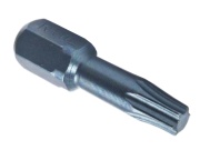 Rawlplug Bit TORX25 25
