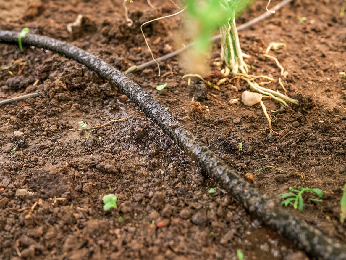Zavlažovací hadice Bradas Aqua-Drop