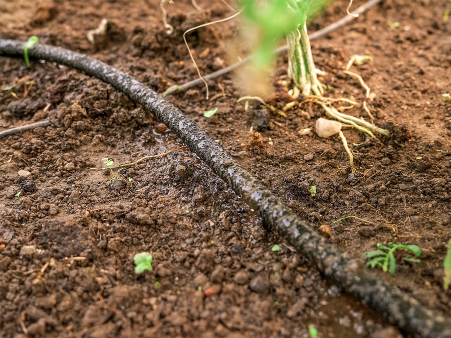 Zavlažovací hadice Bradas Aqua-Drop