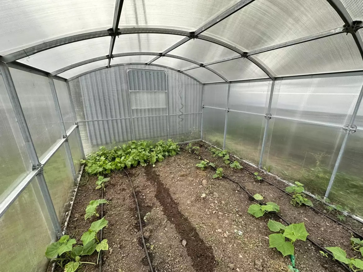 Skleník Scobax Alto Pro