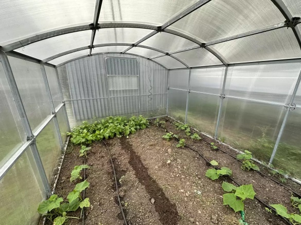 Skleník Scobax Alto Pro