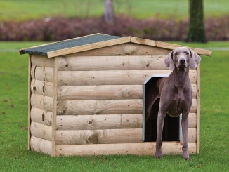 Boudy –  Tuindeco Labrador