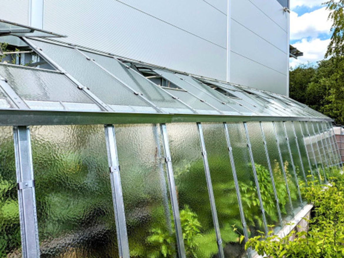 Skleník ke zdi Limes Variant E