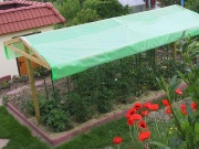 Skleníková (řez na míru) Gutta Fólie foliovník Gitterfolie