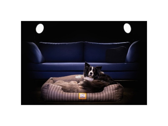 Scobax CROCODOG ORTHOPEDIC PET BED