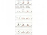 Nerezový vrut s dištančnou podložkou Scobax V2A