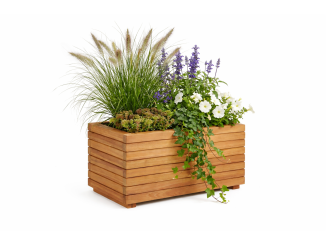 Okrasná zahrada –  Tuindeco Moro