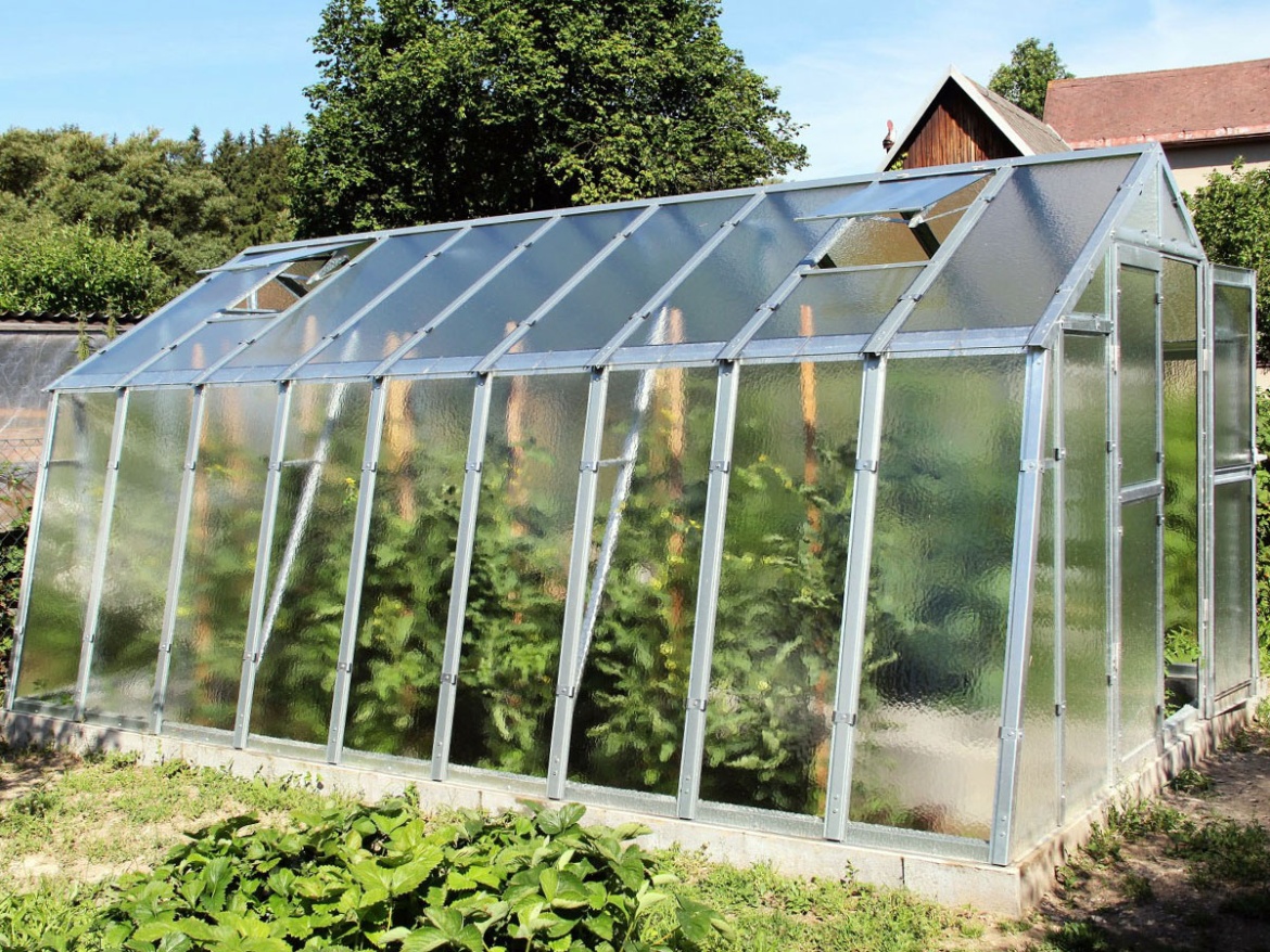 Skleník Limes Variant